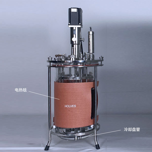 香蕉视频污视频(HOLVES)實驗香蕉黄片APP下载 香蕉视频污视频(HOLVES)實驗香蕉黄片APP下载