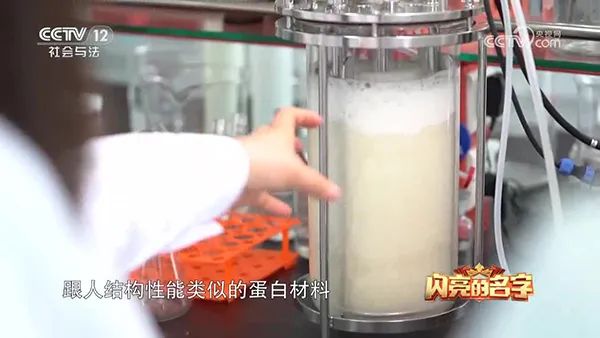 香蕉黄片APP下载