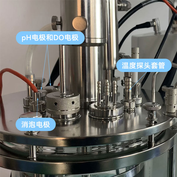 香蕉黄片APP下载傳感器 香蕉黄片APP下载傳感器